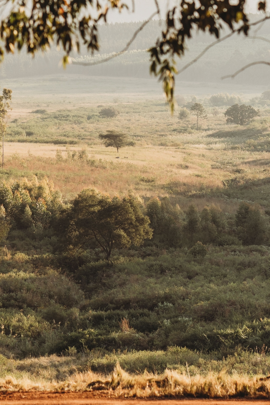 FIH Fotografie » Zuid Afrika